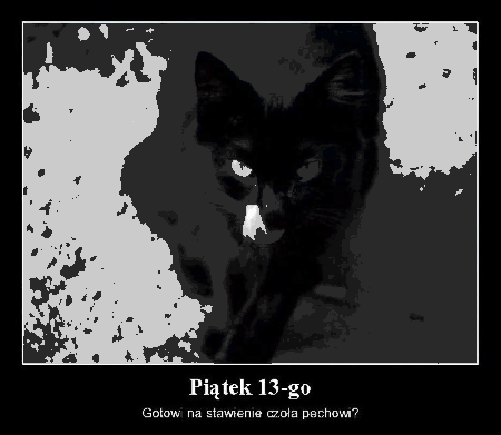 Czarny kot gotowy na piątek 13-go